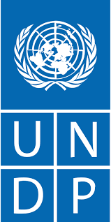 Icon for UNDP Draper University Acceleration Program